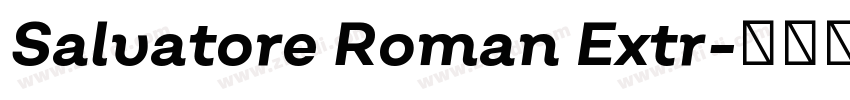 Salvatore Roman Extr字体转换